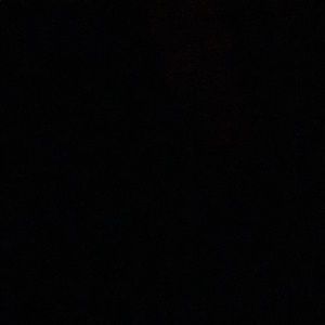 Meet your Posher, Misty